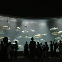 葛西水族館