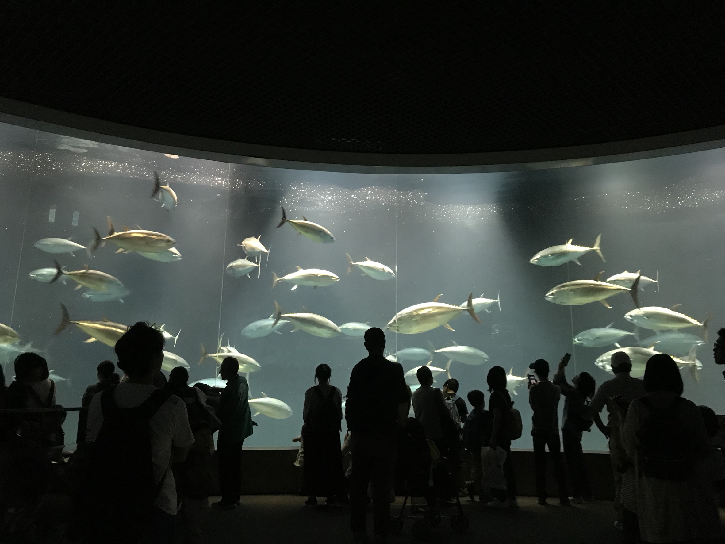 葛西水族館