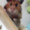 横浜Be婚　マダムけいちゃんのブログ-100806_1847~02.jpg
