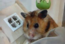 横浜Be婚　マダムけいちゃんのブログ-100823_1819~02.jpg
