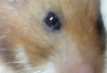 横浜Be婚　マダムけいちゃんのブログ-110627_2223~01.jpg