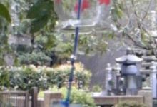 横浜Be婚　マダムけいちゃんのブログ-110920_0911~01.jpg