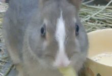 横浜Be婚　マダムけいちゃんのブログ-120311_1558~03.jpg