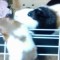 横浜Be婚　マダムけいちゃんのブログ-120416_2159~03.jpg