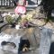 横浜Be婚　マダムけいちゃんのブログ-130126_1113~01.jpg