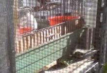 横浜Be婚　マダムけいちゃんのブログ-100127_0925~01.JPG